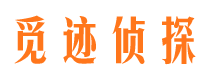 阳东市调查公司